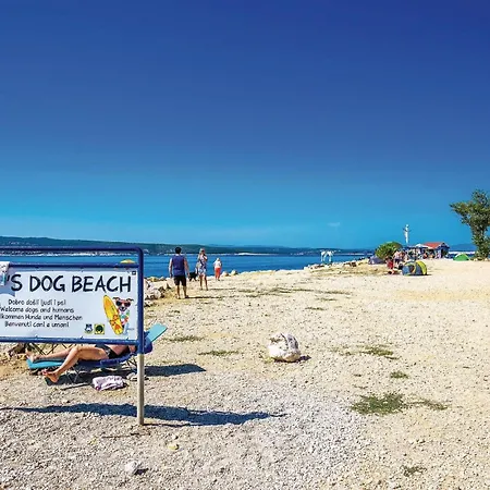 Апартаменты Awesome In *